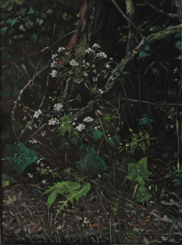 Ashweed, Oil, 30 x 40 cm