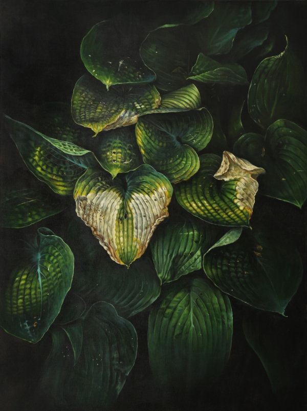 Hosta, Oil, 150 x 200 cm