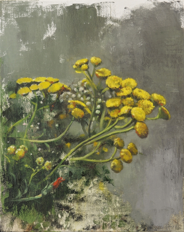 Rainfarn, Oil, 40 x 50 cm