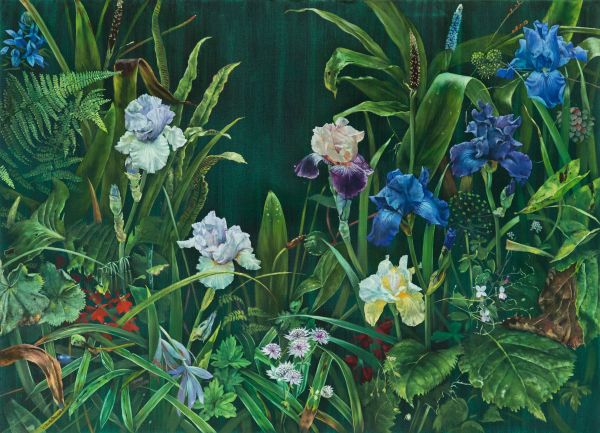 Bearded Iris II, Oil, 145 x 105 cm